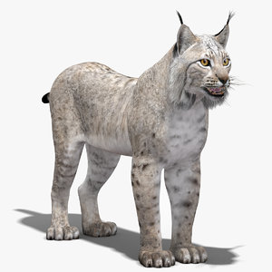3dsmax eurasian lynx white