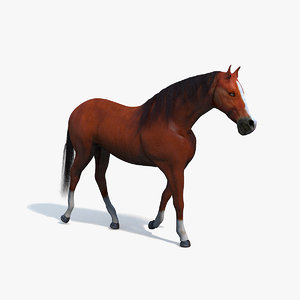 3D realistic brown horse rigged