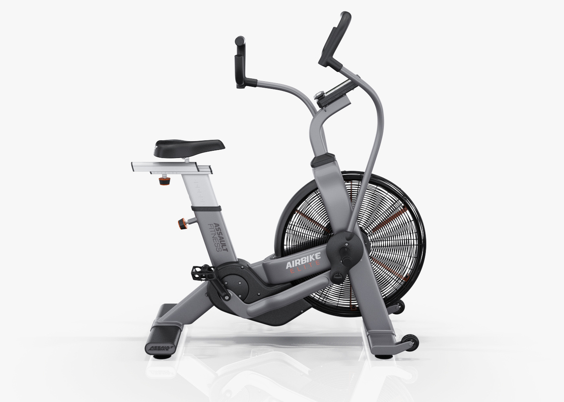 precor assault bike