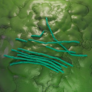 bacillus cereus 3D model