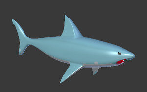 shark 3D model