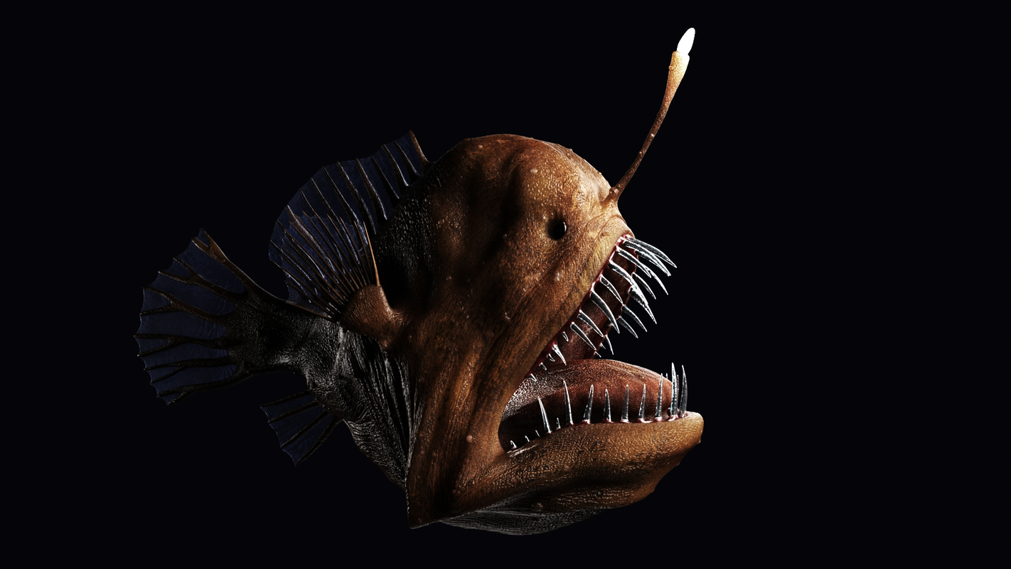 Deepsea Anglerfish 3d Model - Turbosquid 1336221