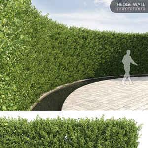 3d vertical hedge multiscatter model