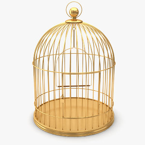3d bird cage birdcage