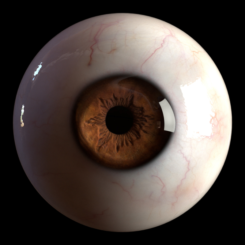 3D iris anatomy eye pupil model - TurboSquid 1324368