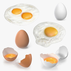 3D chicken eggs 2 model