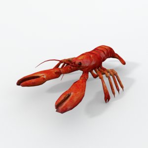 3D model lobster