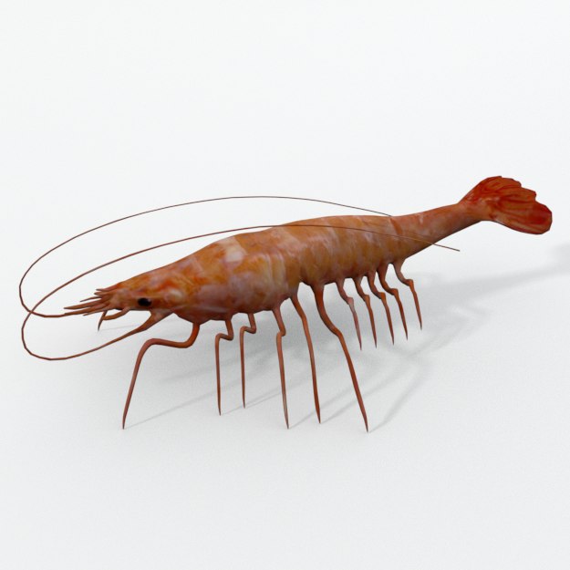 3D red prawns TurboSquid 1336456
