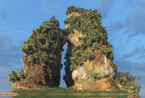 island forest rocks 3D model