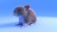 realistic mouse - fur color 3D model
