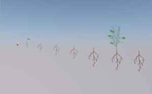 3D plant growth animation