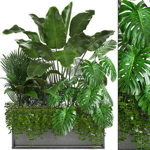 loft exotic plants 3D model