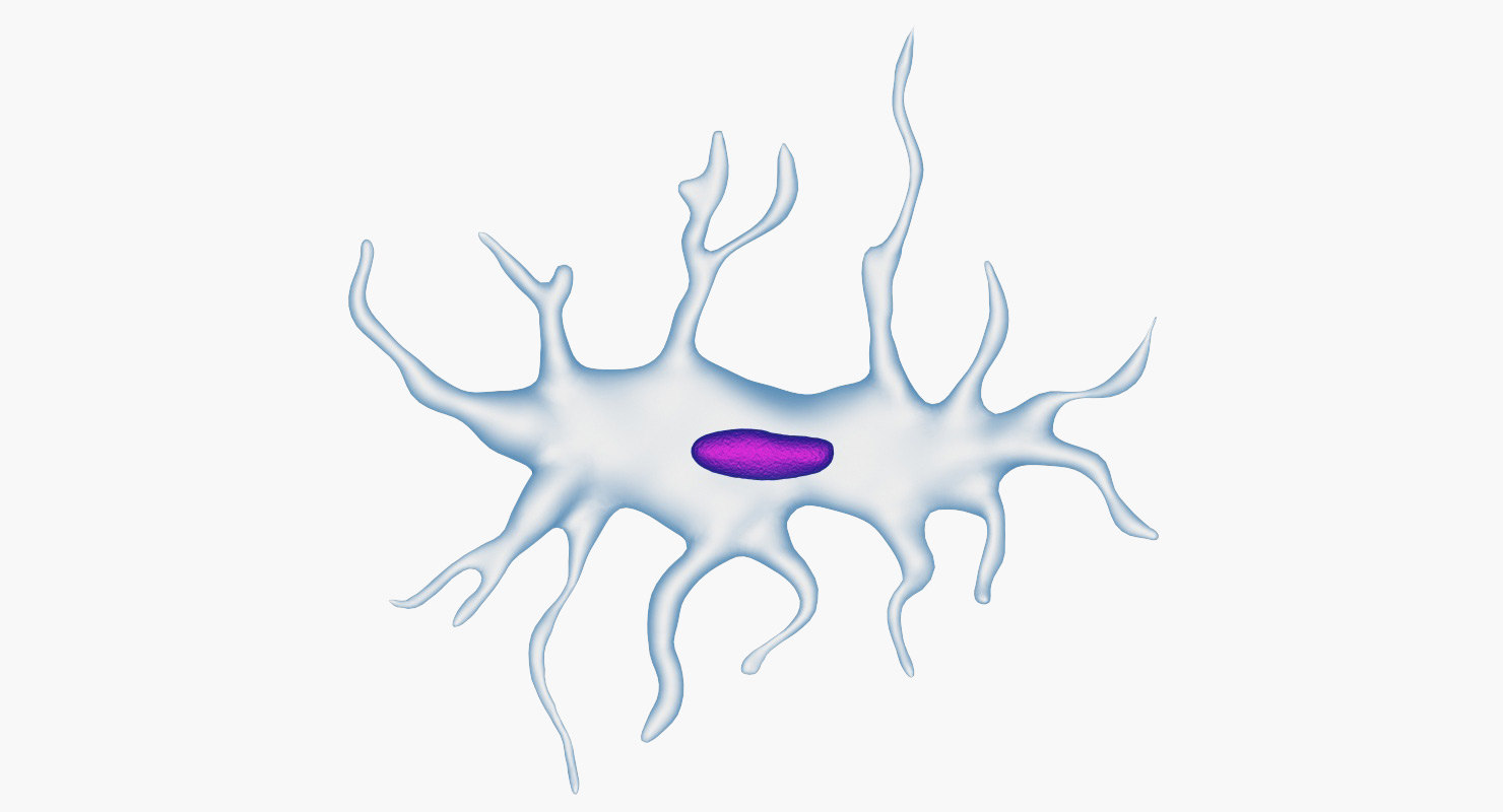 Osteocyte 3D - TurboSquid 1338393