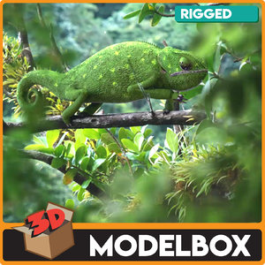3D chameleon rigged