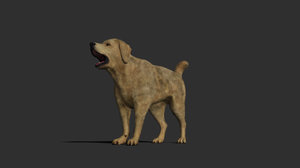3D dog rig animations model