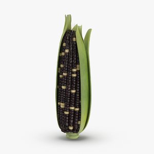 ears-of-corn---01-cv2 model
