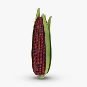 ears-of-corn---01-cv4 3D model