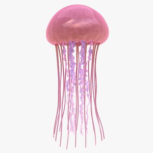 jellyfish scanline ready 3D
