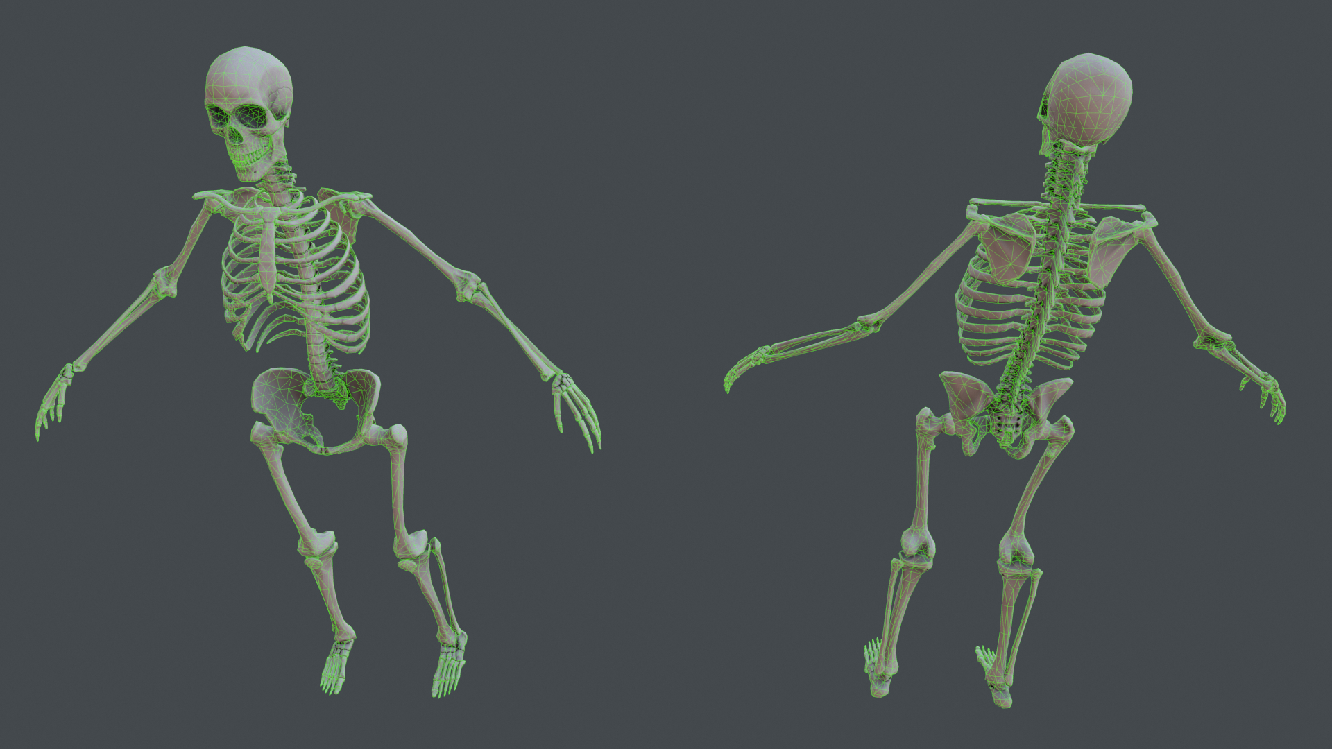 Skeletal remains. Как бы выглядел скелет человека с четырьмя руками. Игра скелет с мячом.