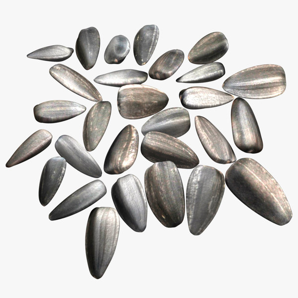 Sunflower Seeds 3d Model Turbosquid 1164423