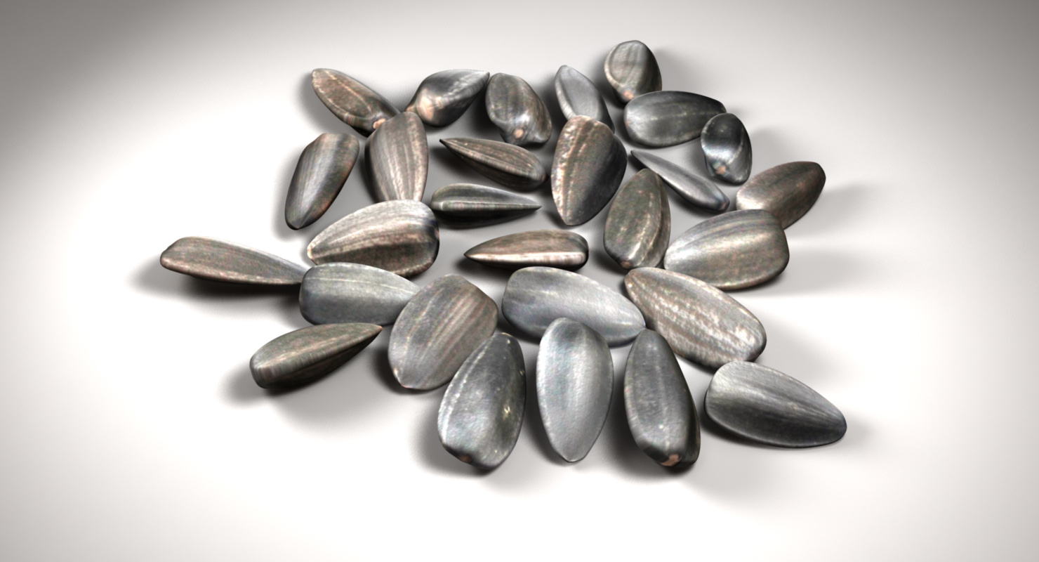 Sunflower seeds 3D model TurboSquid 1164423