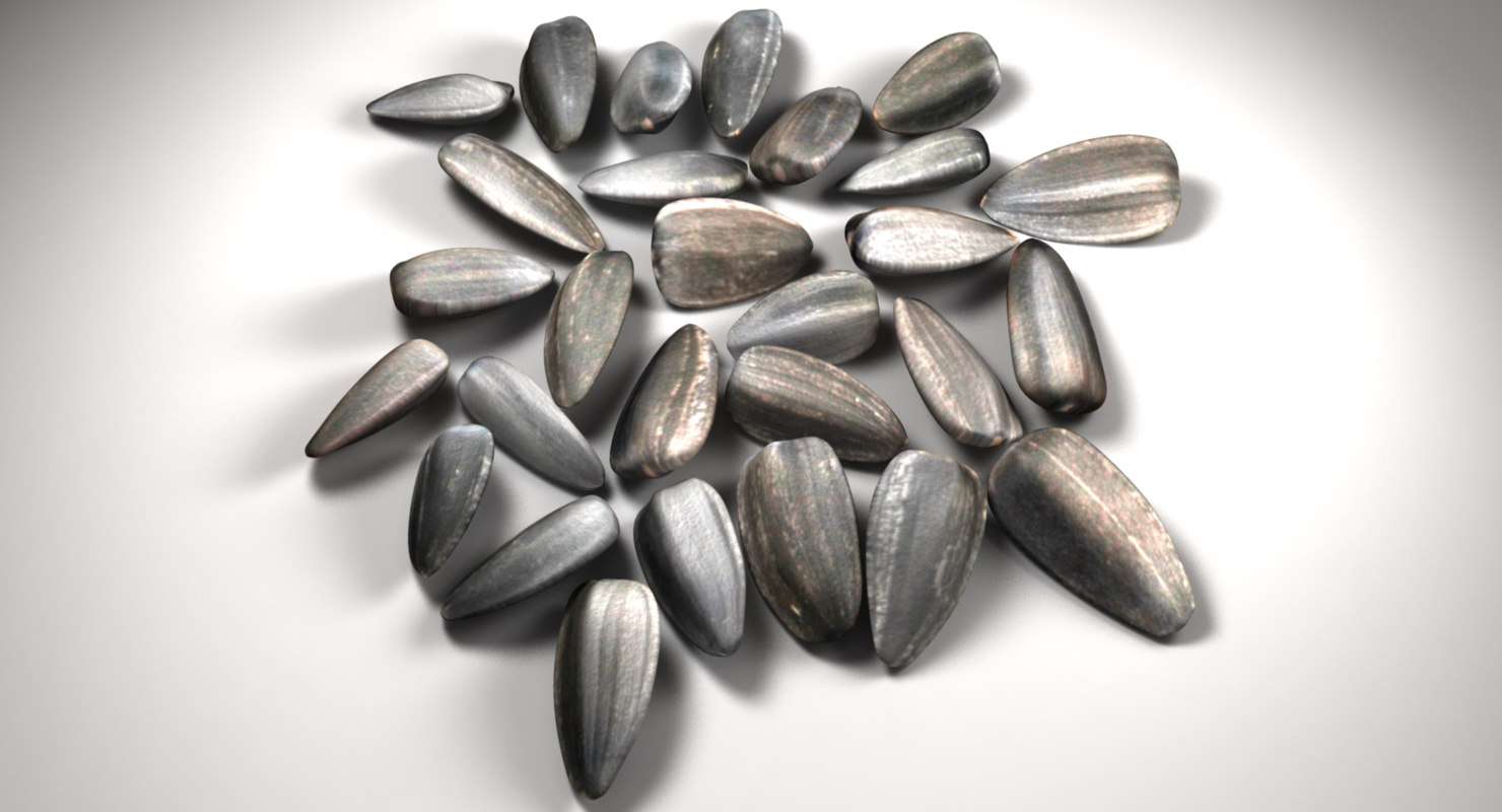 Sunflower seeds 3D model TurboSquid 1164423