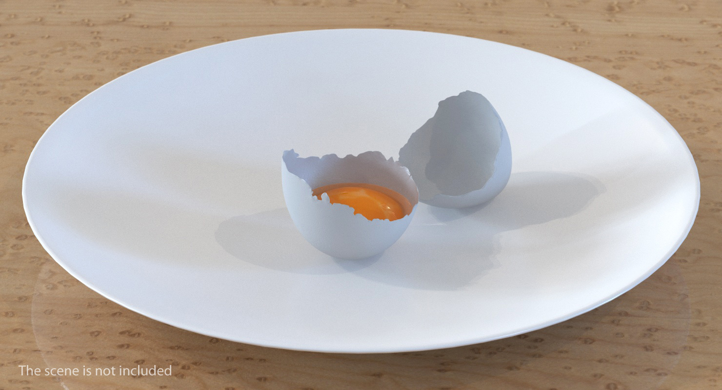 white egg 3d model