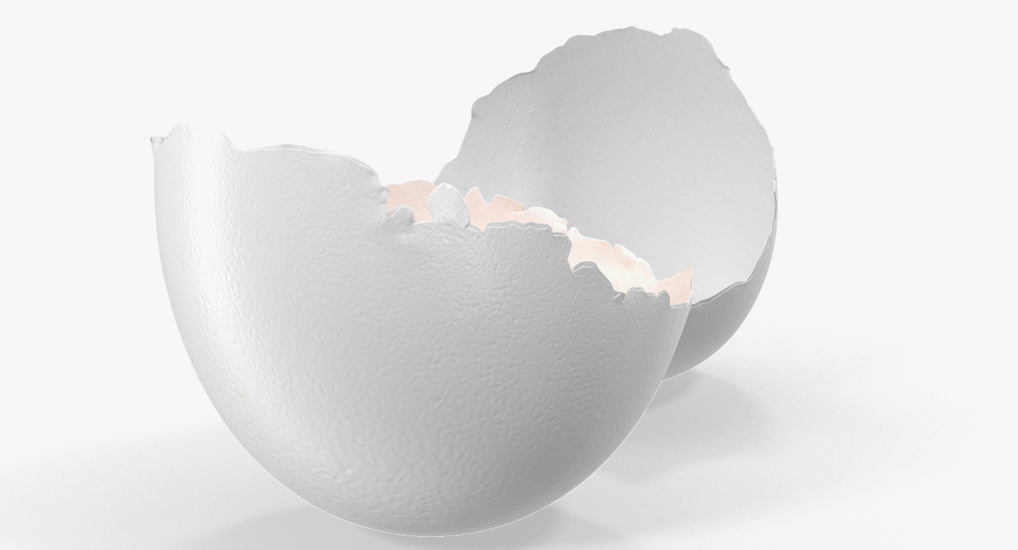 white egg 3d model