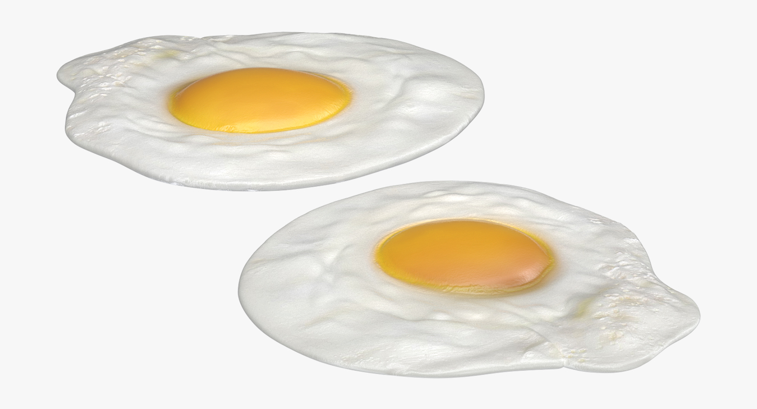 white egg 3d model