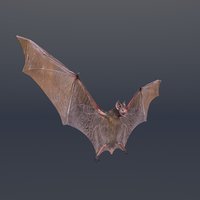 simple cartoon bat 3d 3ds