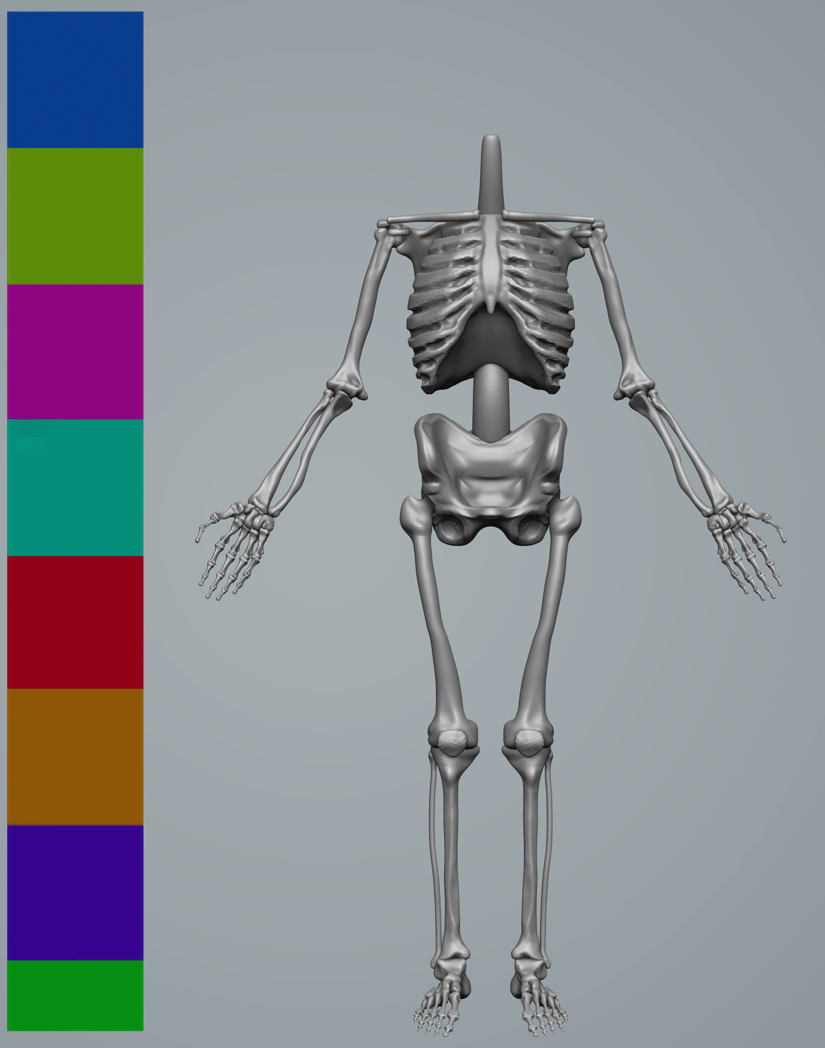 男性肌肉3d模型