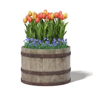 rough barrel flowers 3D model