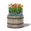rough barrel flowers 3D model