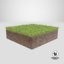 3D model grass cross section 01