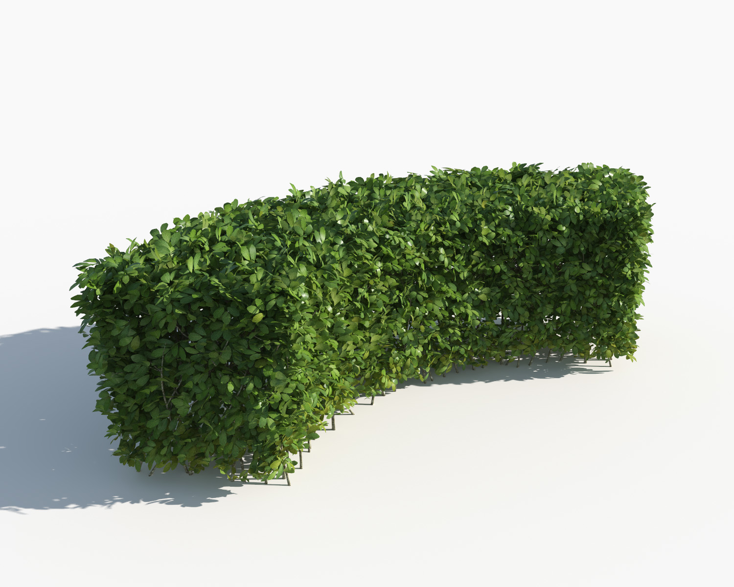 hedge 3d max