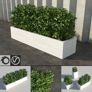 shrub rectangular planter 3d model
