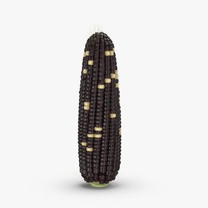 ears-of-corn---02-cv2 3D
