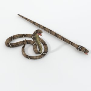 3D cobra snake