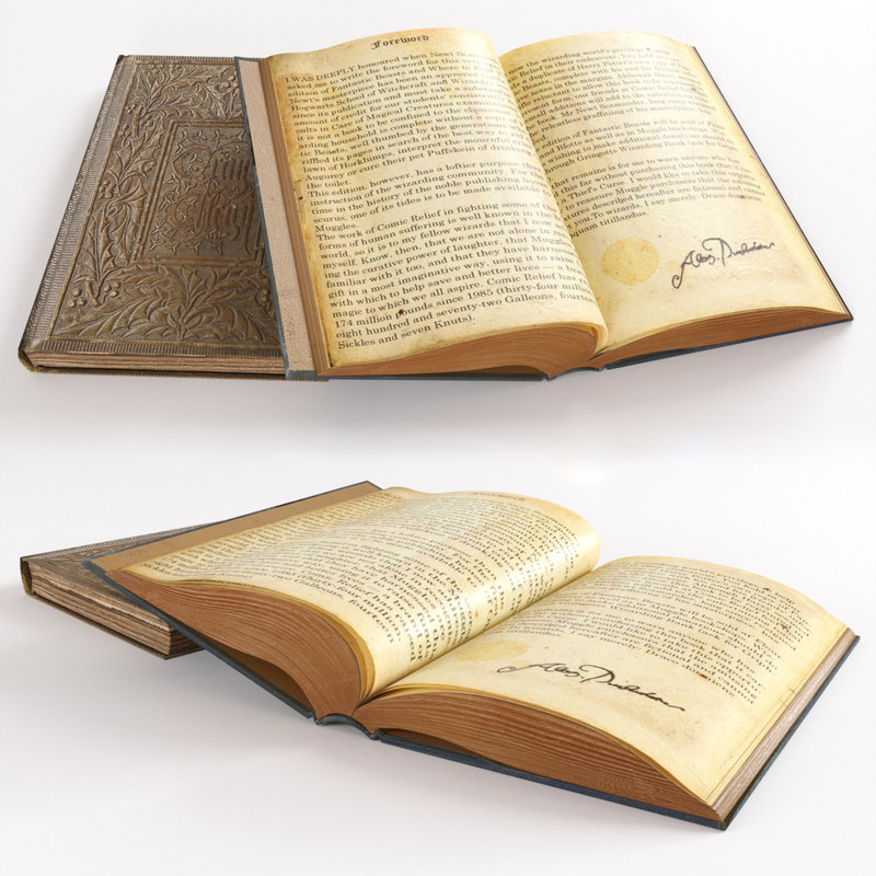 Mayas Notebook Epub