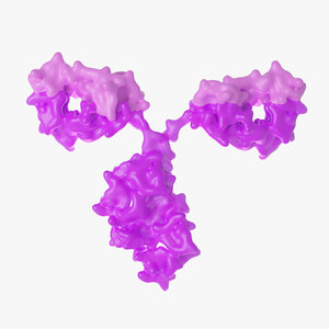 3D antibody