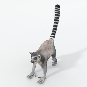 lemur 3D