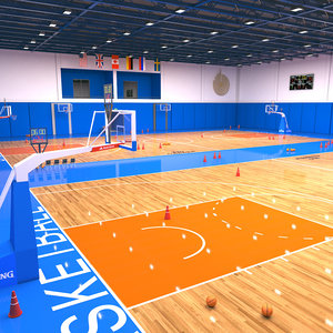 basketball basket ball 3D
