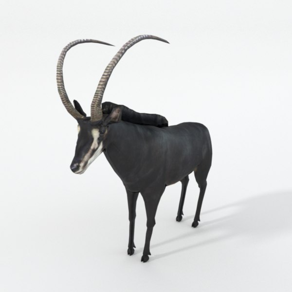 3d sable antelope
