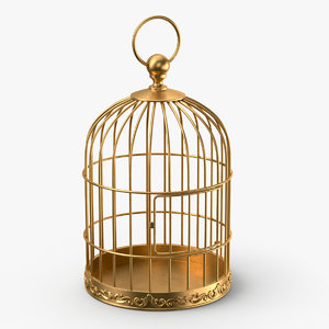 bird cage 3D