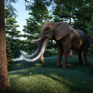 elephont rigged animation 3D
