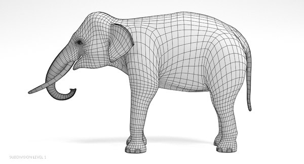 3D asian elephant male model - TurboSquid 1341687