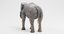 3D model asian elephants