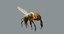 3D model honeybee fur animation 2