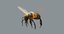 3D model honeybee fur animation 2
