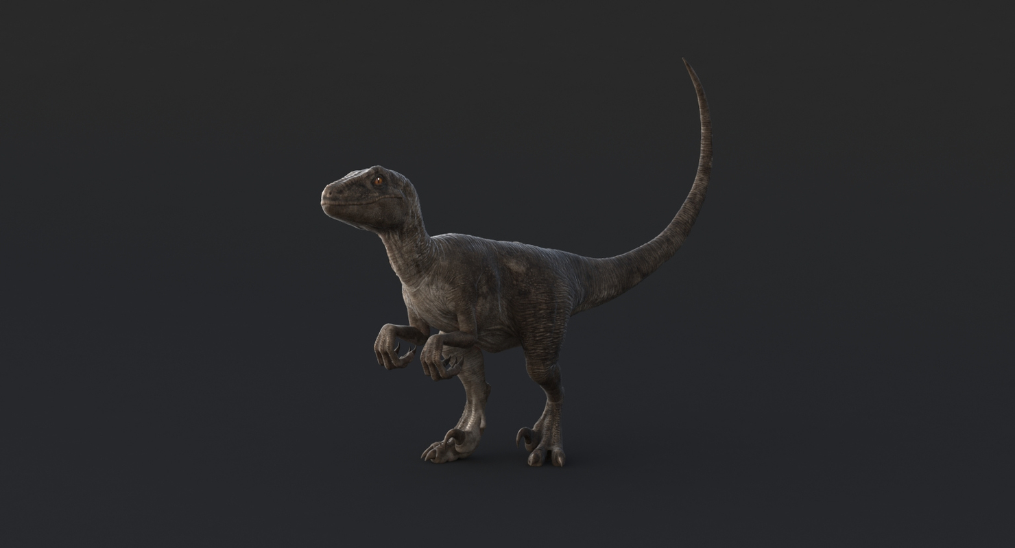 velociraptor realistic